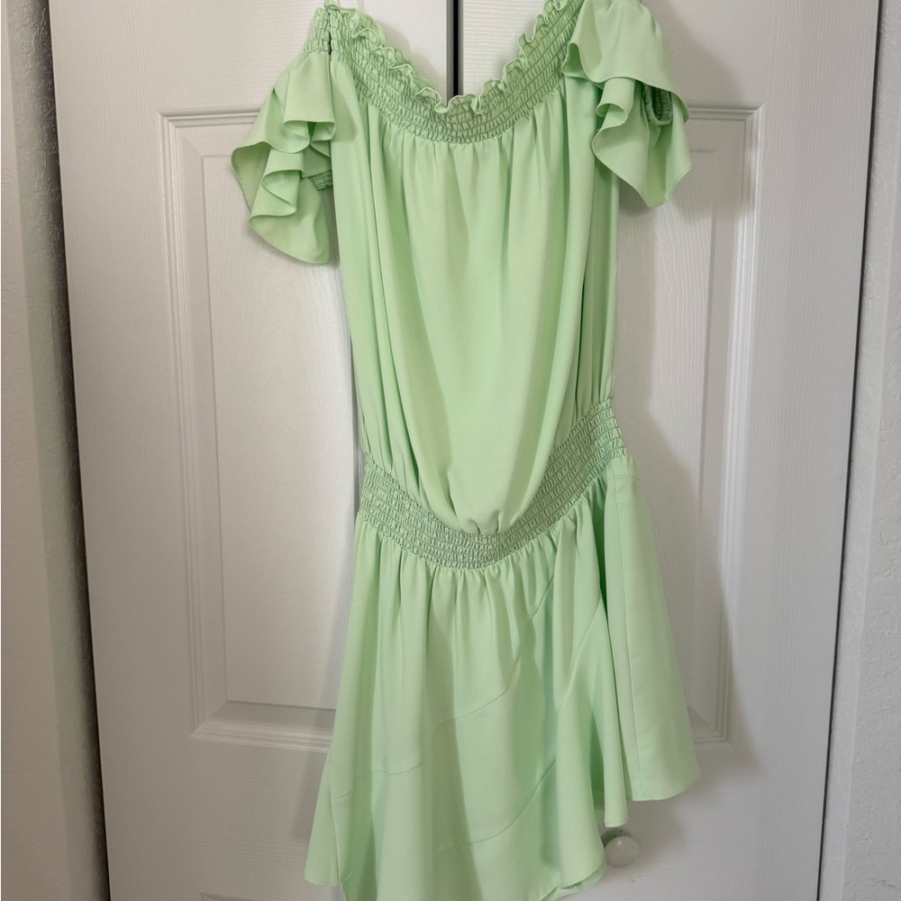 Amanda Uprichard Light Green Strapless Dress - Picture 4 of 5